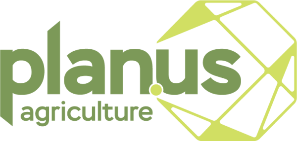 planus