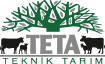 teta